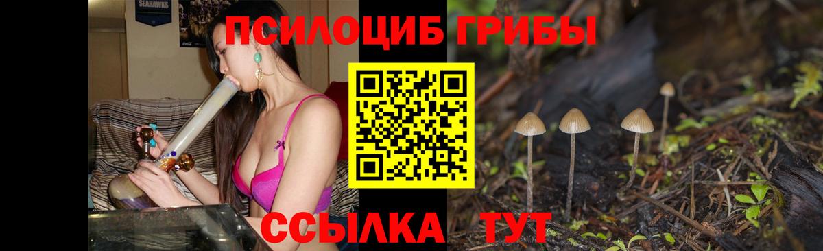Звенигород  Галлюциногенные грибы Psilocybe  Псилоцибиновые грибы MAGIC MUSHROOMS  Вход с VPN 